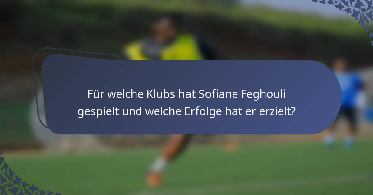 Für welche Klubs hat Sofiane Feghouli gespielt und welche Erfolge hat er erzielt?