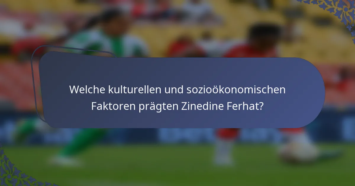 Welche kulturellen und sozioökonomischen Faktoren prägten Zinedine Ferhat?