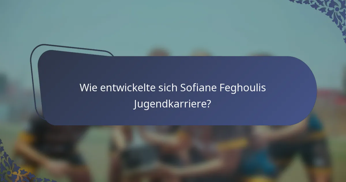 Wie entwickelte sich Sofiane Feghoulis Jugendkarriere?